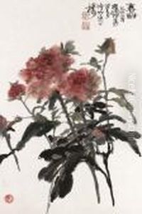 Flower by Xiao Sun