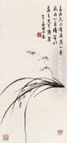 Orchid - view 1