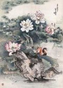 Lotus And Mandarin Ducks