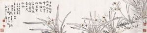 Narcissus