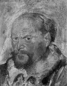 Portrait of a bearded man by Italian School