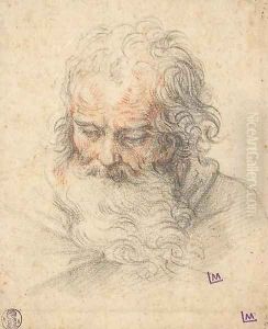 The head of a bearded man looking down