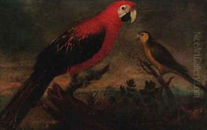 A scarlet macaw and a parrot in a landscape