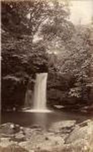Tamassin Foss, Goathland by Frank Meadow Sutcliffe