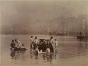 Water Rats