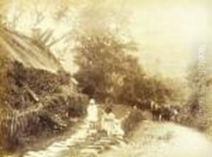 Five Rural Studies: