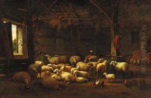 Sheep in a barn