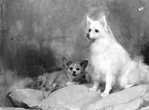 A keeshond and a corgi on pillows