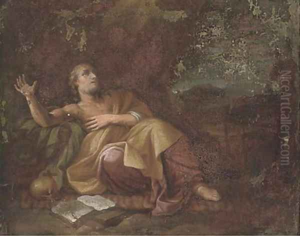 Saint Jerome in the wilderness - view 1