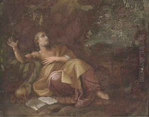 Saint Jerome in the wilderness by Dutch School