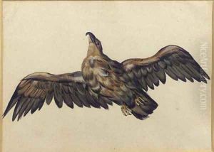 An eagle, with wings outstretched