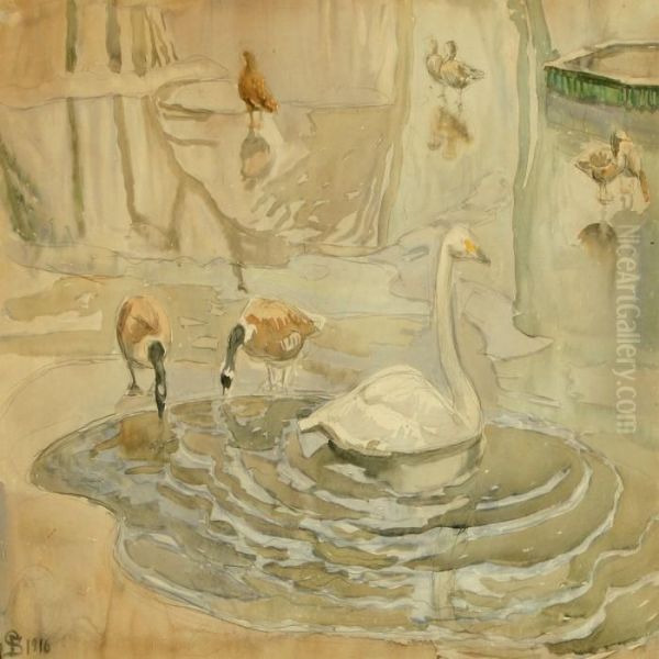 Swan, Geese And Ducks Ina Pond - view 1