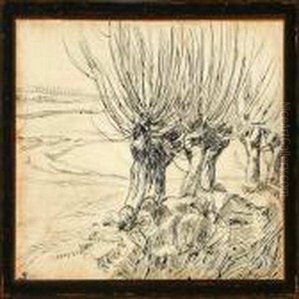 Pollarded Poplars - view 1