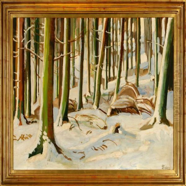 A Snowcovered Forest Floor - view 1