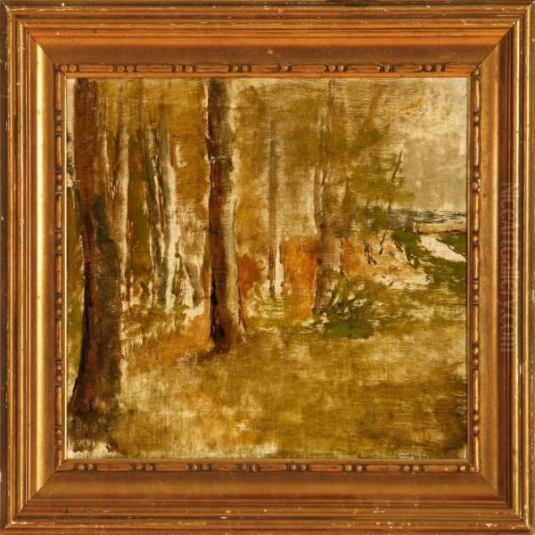 A Glade - view 1