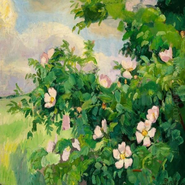 Vilde Roser Fra Fyn - view 1