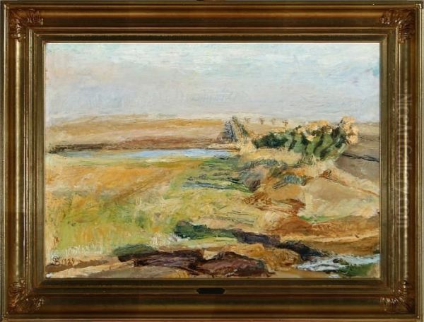 Field With A Small River, Near Kerteminde - view 1