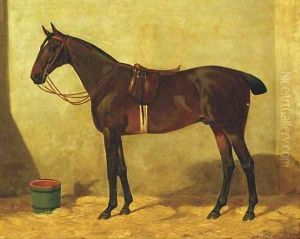 A stallion in the stable