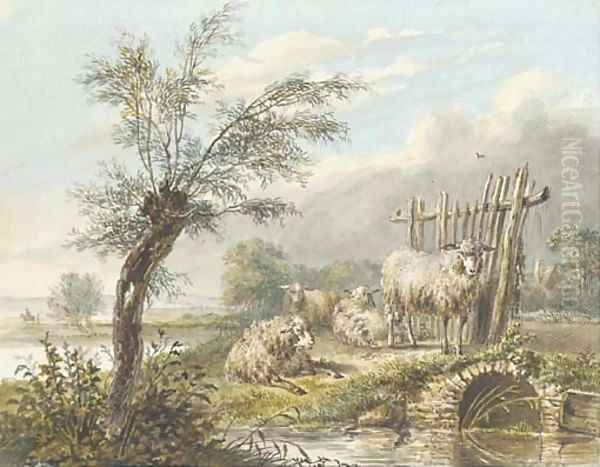 Four sheep by a stream in an extensive landscape - view 1