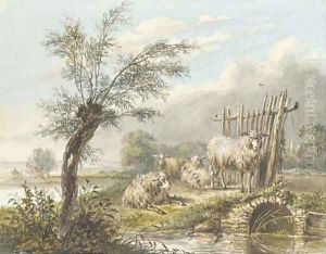 Four sheep by a stream in an extensive landscape Four sheep by a stream in an extensive landscape