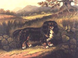 King Charles Spaniel Fuss in a Landscape