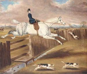 Over the fence by Samuel Spode