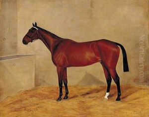 A bay horse in a stable by G. Stirling-Brown