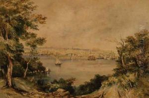 Sydney from Lavender Bay, 1868