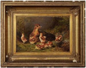 A Covey Of Grouse