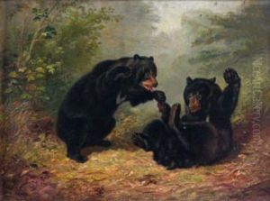 Les Ours