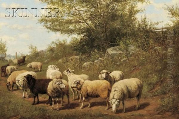 Sheep In A Pasture - view 1