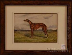 Duncan Grey 
/portrait Of A Hound