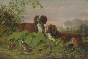 Two Setters And Quail by Arthur Fitzwilliam Tait