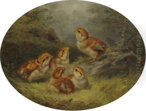 Young Ruffed Grouse by Arthur Fitzwilliam Tait