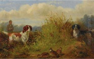 Quail Shooting, "the Point" by Arthur Fitzwilliam Tait