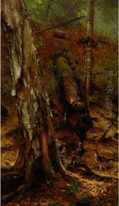 An Adirondackforest by Arthur Fitzwilliam Tait
