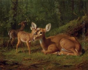 Maternal Affection by Arthur Fitzwilliam Tait