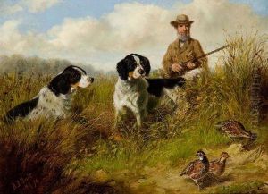 Quail Shooting - Sportsman And Two Dogs