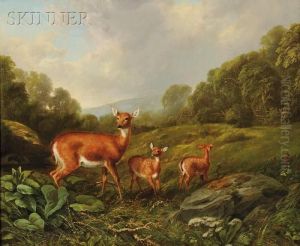 Doe And Fawns In A Landscape by Arthur Fitzwilliam Tait