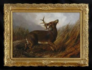 Wounded Stag
