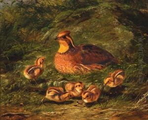 ''quail And Young'