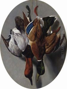 Canvasback And Mallard Canvasback And Mallard