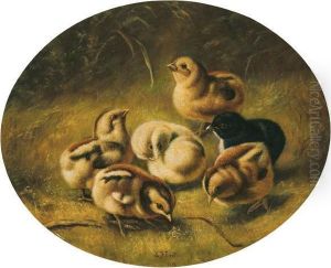 Six Chicks by Arthur Fitzwilliam Tait