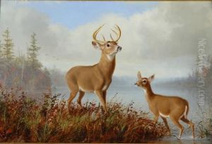 Stag And Doe by Arthur Fitzwilliam Tait
