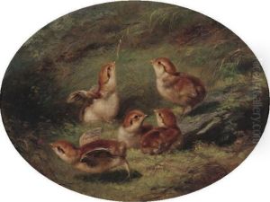 Young Ruffed Grouse by Arthur Fitzwilliam Tait