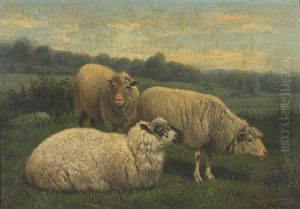 Three Sheep Three Sheep