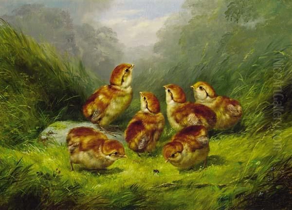 ''ruffed Grouse Chickens'' - view 1