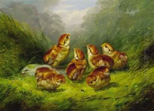 ''ruffed Grouse Chickens''