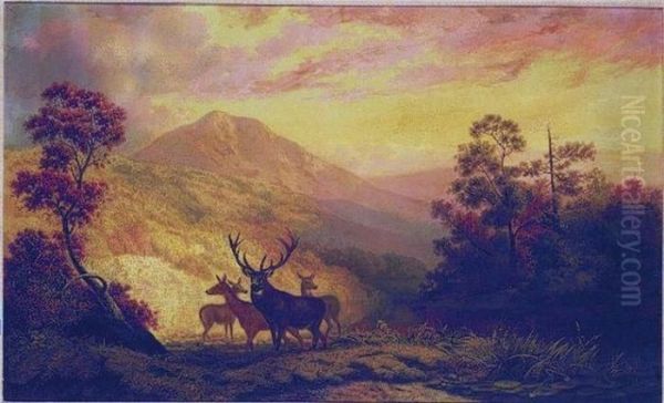 Elk In A Clearing With Mountains In The Distance - view 1