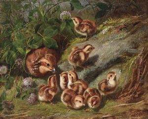 Quail And Young